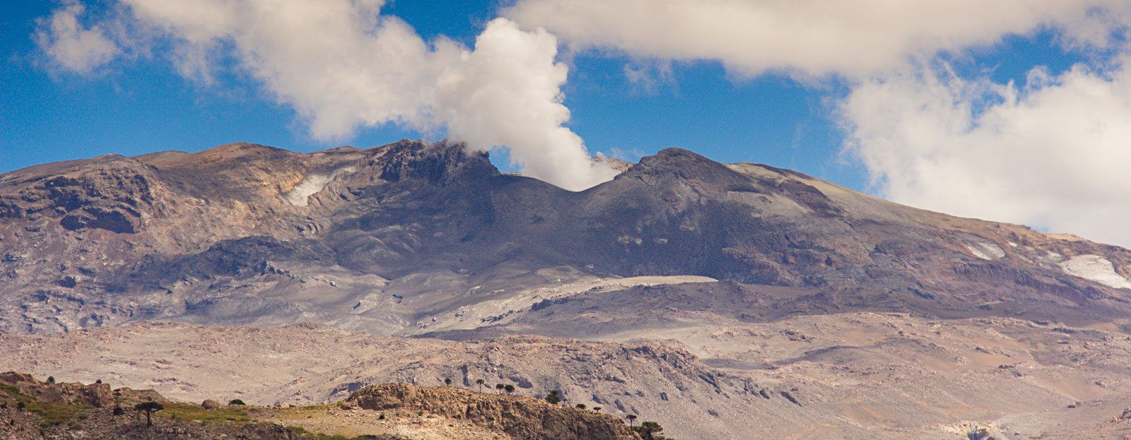 Profesional tasador evaluando una propiedad en Copahue con herramientas digitales